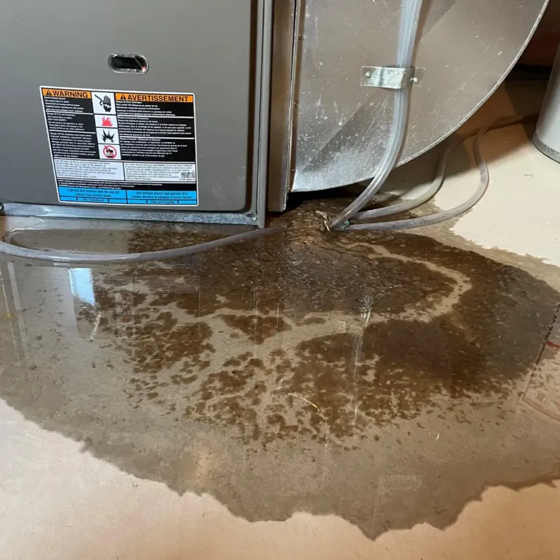 Appliance Leak Cleanup in Chichester, NH